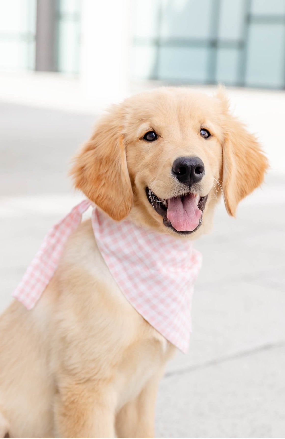 Pretty In Pink Bandana