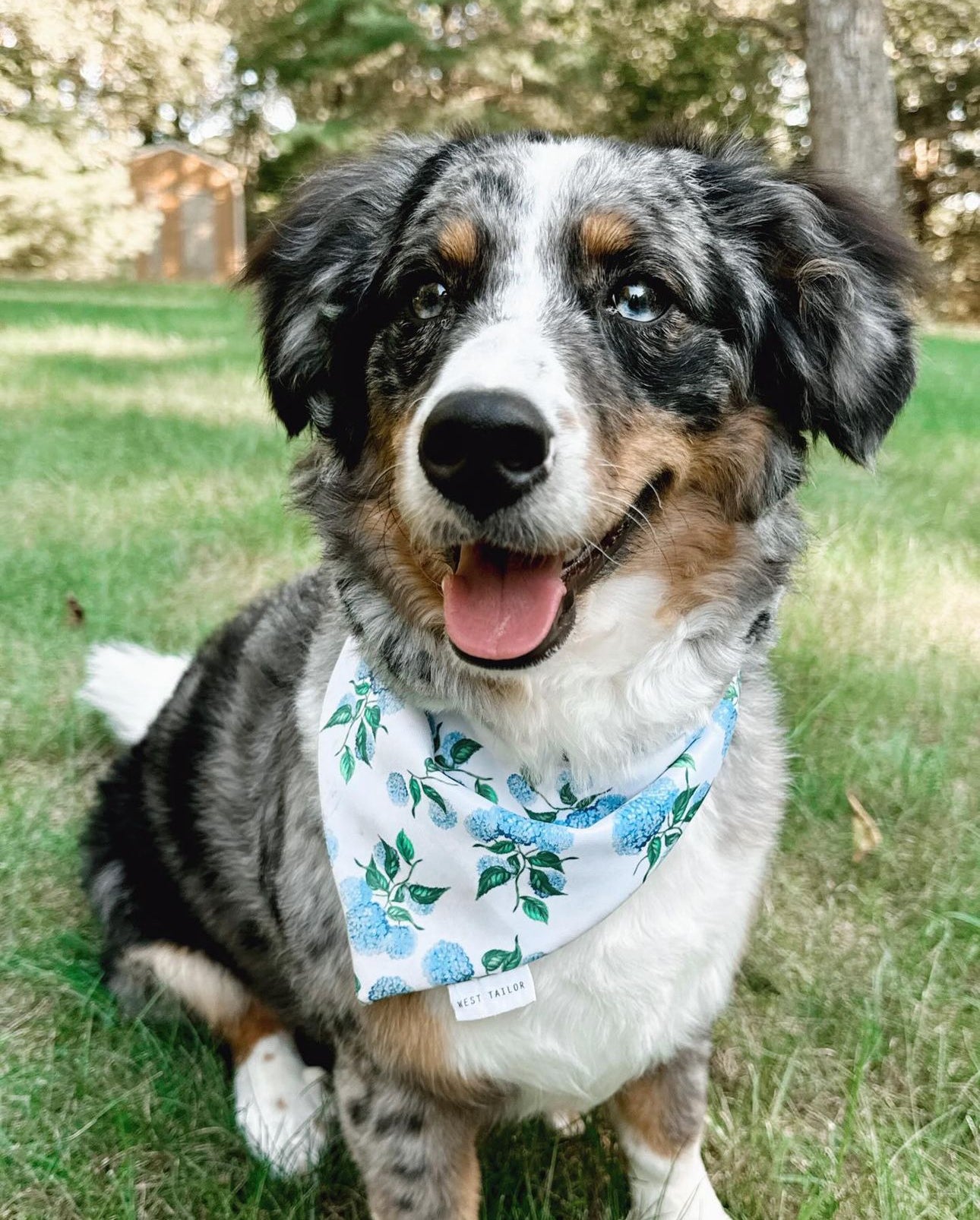 Hydrangea reversible Bandana