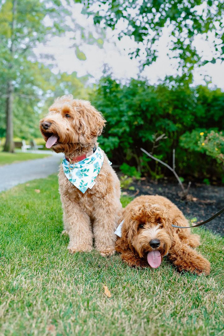 Hydrangea reversible Bandana