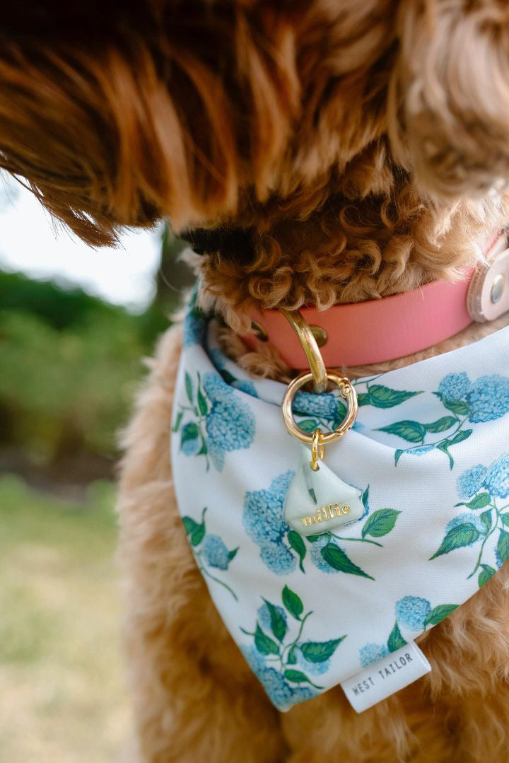 Hydrangea reversible Bandana